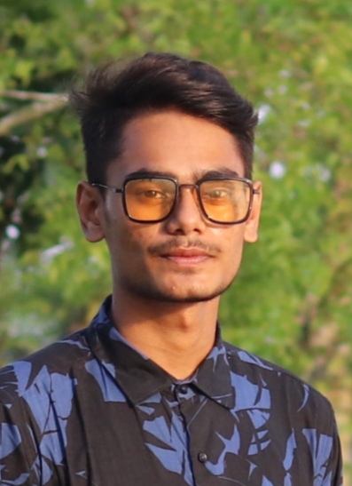 Md Mahmud Parveg